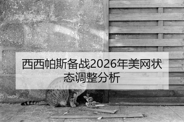 西西帕斯备战2026年美网状态调整分析