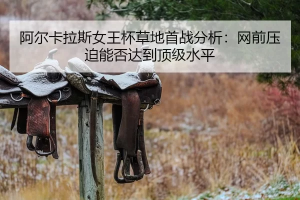 a-er-ka-la-si-nv-wang-bei-cao-di-shou-zhan-fen-xi-wang-qian-ya-po-neng-fou-da-dao-ding-ji-shui-ping-2-919.jpg