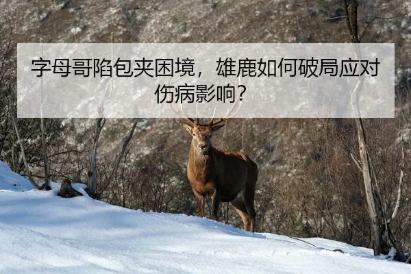 zi-mu-ge-xian-bao-jia-kun-jing-xiong-lu-ru-he-po-ju-ying-dui-shang-bing-ying-xiang-3-559.jpg