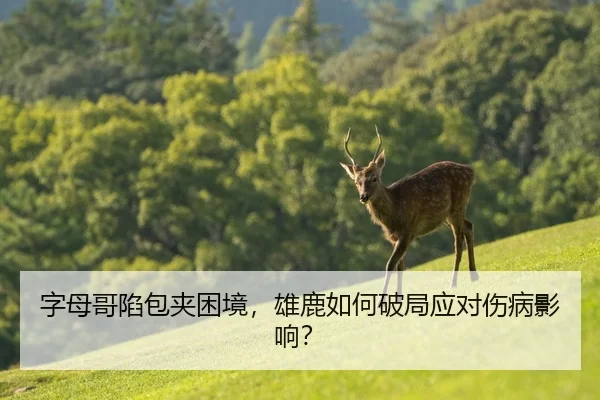 字母哥陷包夹困境，雄鹿如何破局应对伤病影响？