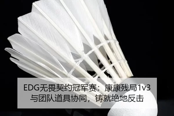 EDG无畏契约冠军赛：康康残局1v3与团队道具协同，铸就绝地反击