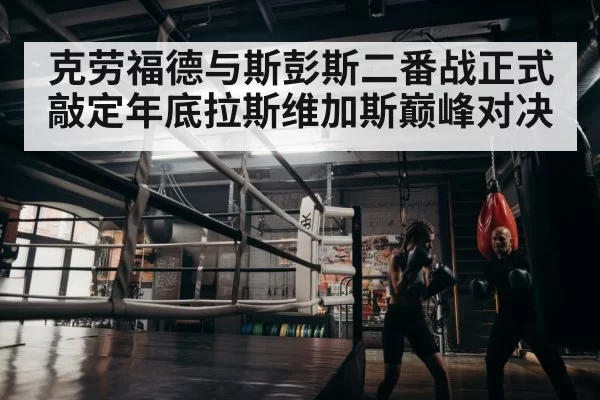 boxer training