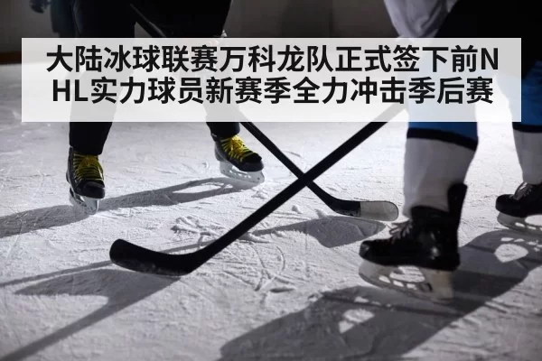大陆冰球联赛万科龙队正式签下前NHL实力球员新赛季全力冲击季后赛