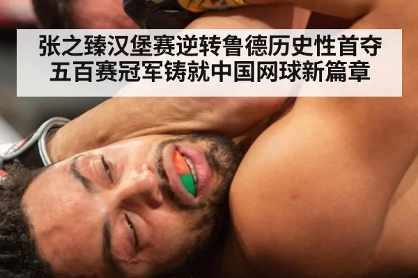张之臻汉堡赛逆转鲁德历史性首夺五百赛冠军铸就中国网球新篇章